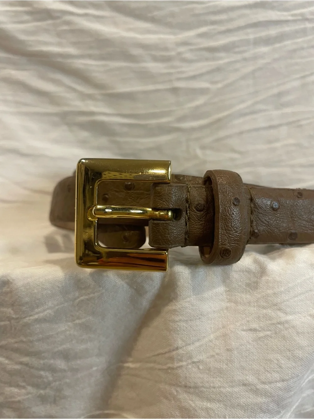 Brown Genuine Leather Ostrich Embossed Gold Buckle Belt Western Y2K